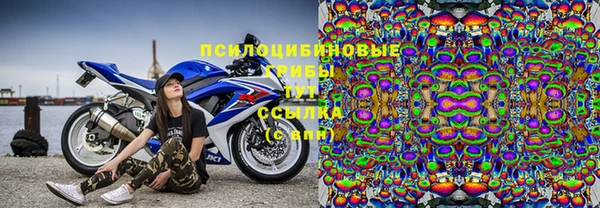 PSILOCYBIN Новокубанск