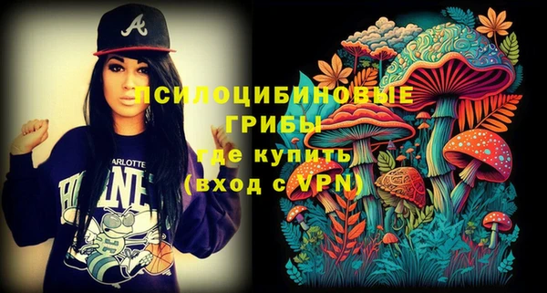ГАЛЛЮЦИНОГЕННЫЕ ГРИБЫ Новозыбков