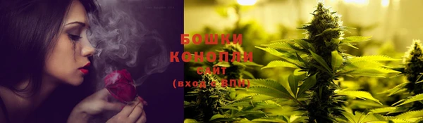 мескалин Новодвинск