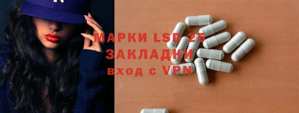 ГАЛЛЮЦИНОГЕННЫЕ ГРИБЫ Новозыбков