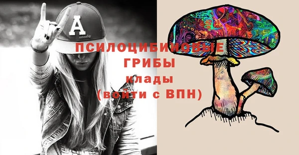 мяу мяу мука Абинск