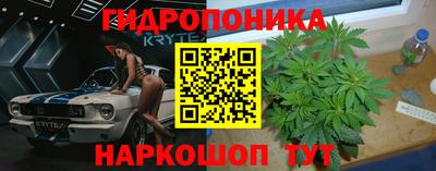 таблы Можга