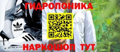 ПСИЛОЦИБИНОВЫЕ ГРИБЫ Моздок