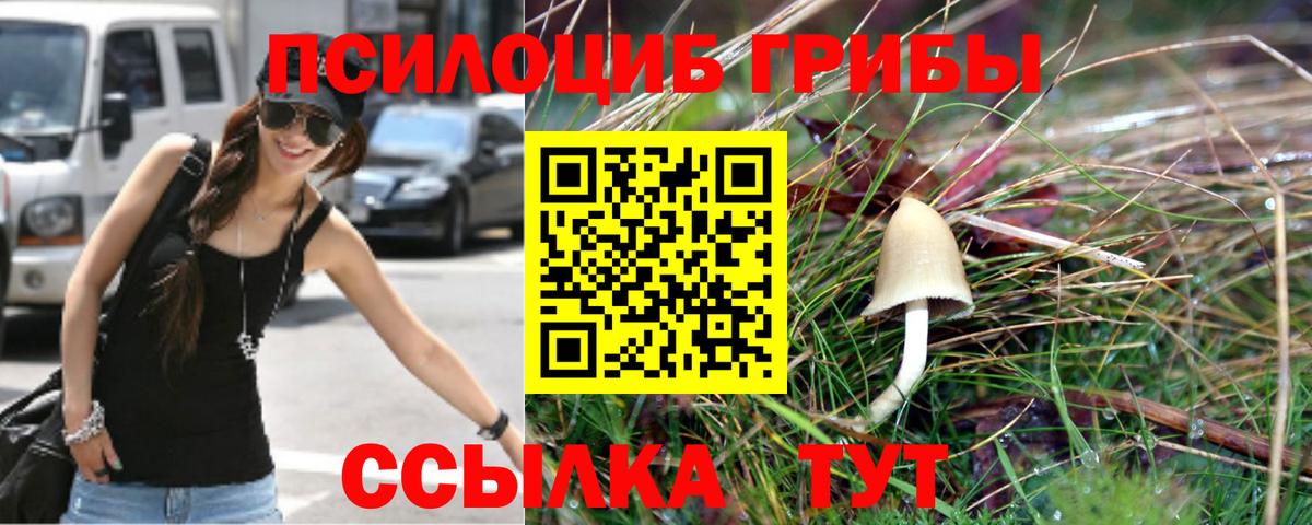 Псилоцибиновые грибы Psilocybine cubensis Смоленск