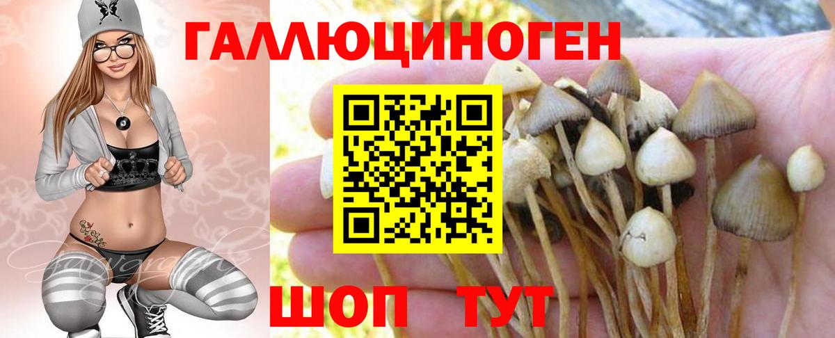 Смоленск  Псилоцибиновые грибы мицелий  Вход с VPN  Псилоцибиновые грибы мицелий 